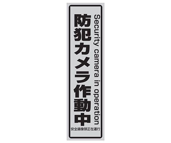 監視用録画機能搭載防雨型赤外線暗視カメラ